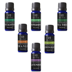 Aromatherapy Top 6 Essential Oil Set